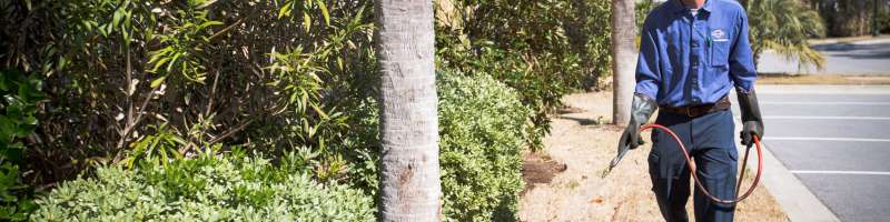 Odor Control and Deodorization